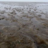 1406F 180 Wattenmeer